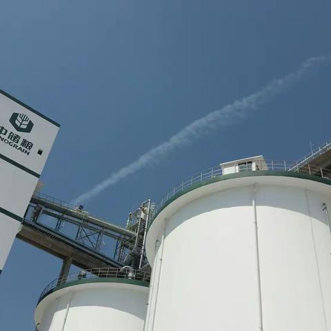 分公司卓国锋副总经理莅临莆田直属库检查指导工作