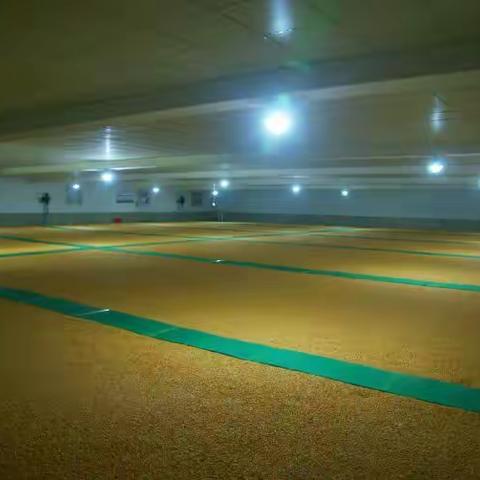 中央储备粮就该管成这个样儿！