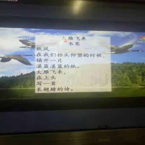 大雁飞来