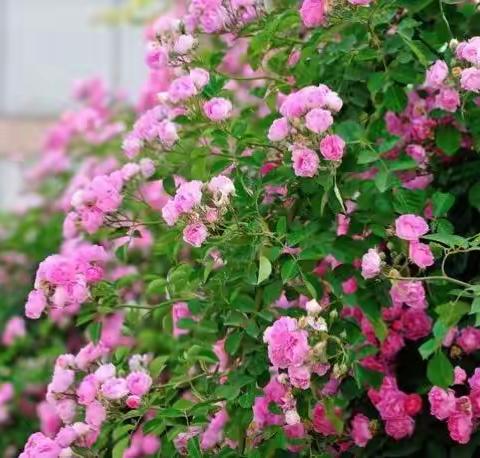 🚗200班研学之旅第二季第一天续👧👦