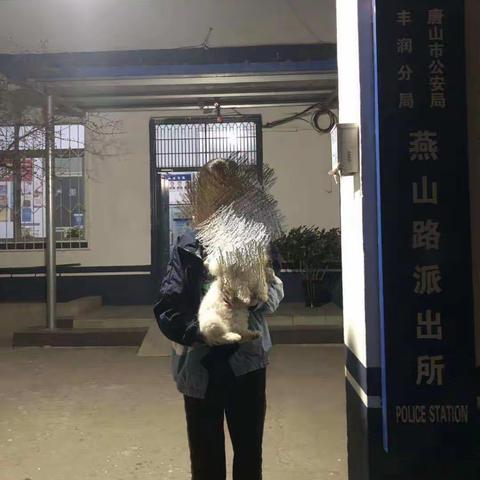 查处一未按规定给犬只办理养犬登记证案件