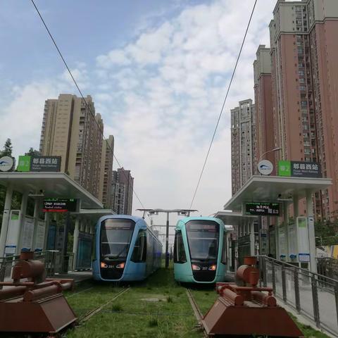 小乖的愿望