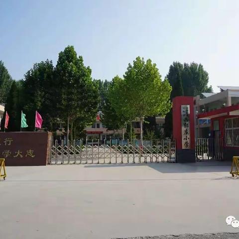 🌿春日花草香🌺研学少年游🌿“双减”下的春日研学南蒲街道西郭庄小学六一班