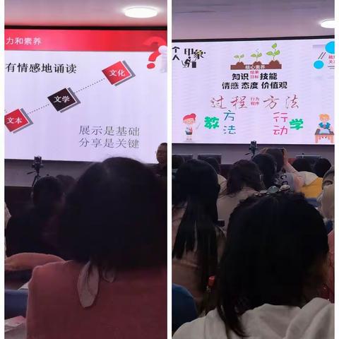 专家领航，一路芬芳——宁武县小学语文骨干教师第三期培训