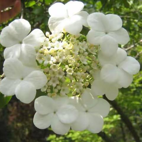 《面朝先学后导，春暖学本课堂》