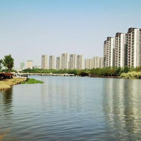 春风又绿河两岸