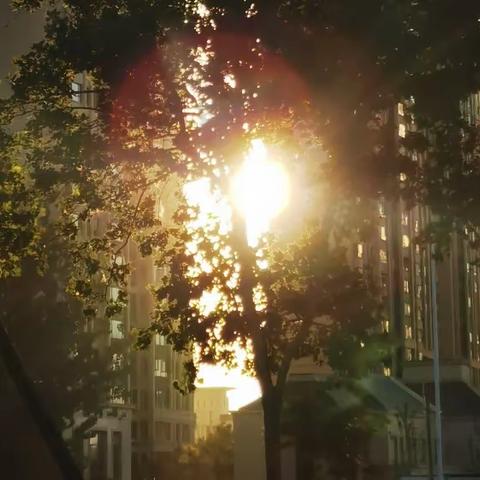 高温天气来了！