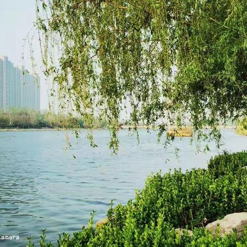 芳菲四月天一河畔晨曦风光