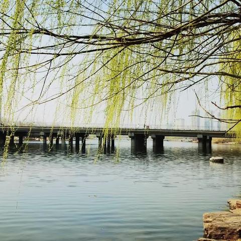 春风绿了河两岸