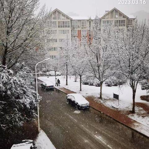 三月桃花雪 海棠笑春风