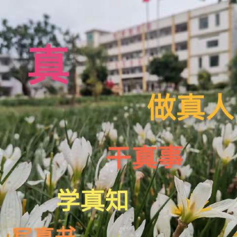 三元小学开学收心攻略