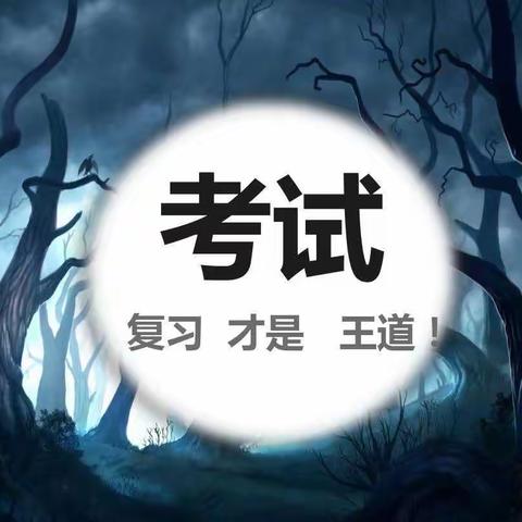 整理复习  查缺补漏（开学第八周）