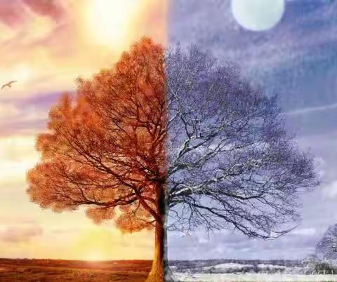 提升自己能量的好方法