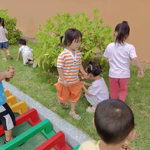 蒙山县第一幼儿园中五班户外活动