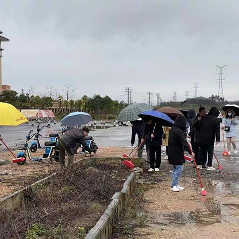 “龙湖是我家，美丽靠大家” 2月主题党日活动总结