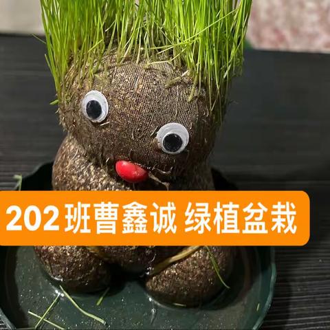 202班曹鑫诚 请你欣赏