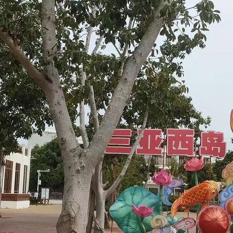 醉美西岛 更美金花