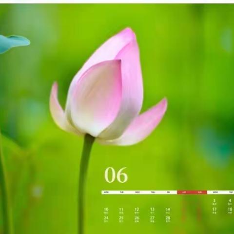 相互学习 相互促进 ——三亚市实验小学英语科组教研活动