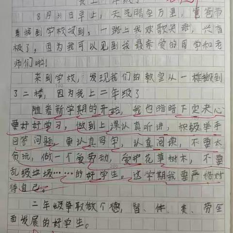 🌟我上二年级了