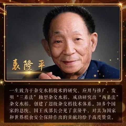 缅怀，国之脊梁！棋盘井第七幼儿园寄思袁隆平爷爷活动