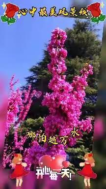 越千山万水手牵手，喝五粮美酒福进门