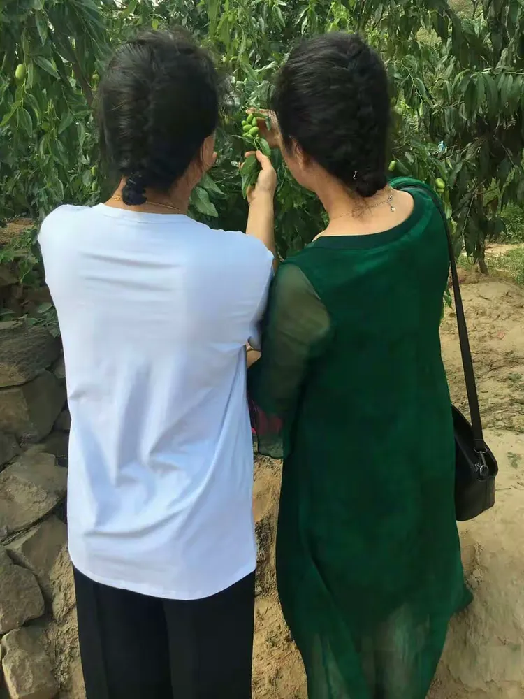 绥德三十寨,我永远的根