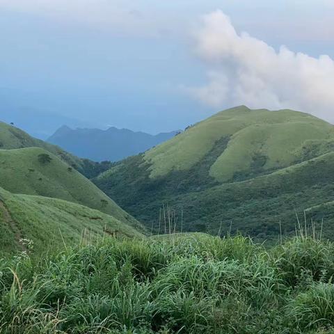 黄沙村扎实推进改善农村人居环境工作