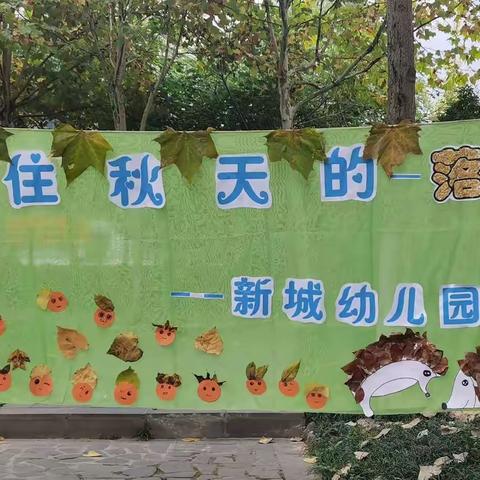 “留住秋天的落叶”——新幼小一班主题活动