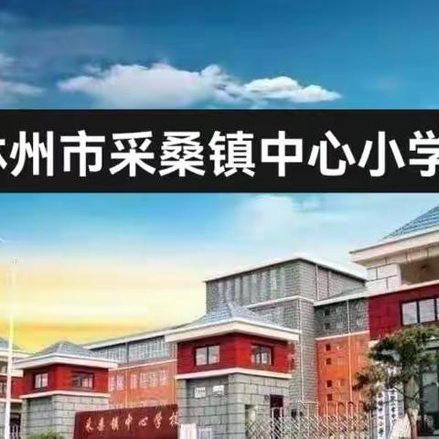 反对迷信  崇尚科学——采桑镇中心小学深入开展宗教政策法规宣传学习活动纪实