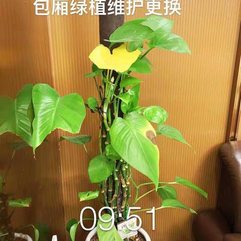 海花岛国会食堂检查结果通报