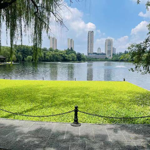 领名家名师风范，悟名师发展之道——浙江大学—福建省宁德市柘荣县名优教师能力提升研修班