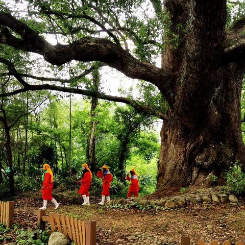 祁门历溪古村落《目连戏》现场采风