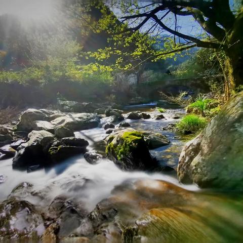 大洪岭古道记——水之韵，花之魂