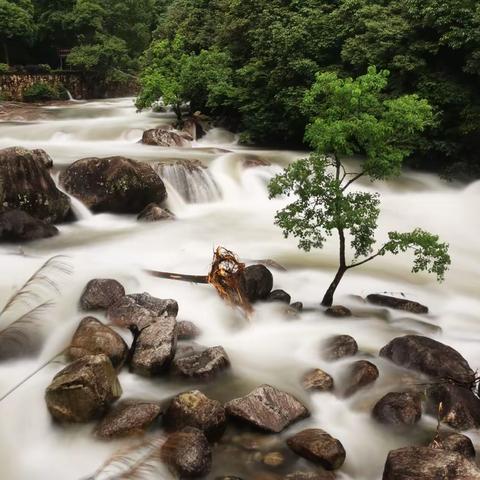 婺源大鄣山-水之精灵