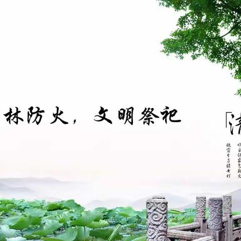 “森林防火，文明祭扫”—通济小学开展清明主题班会