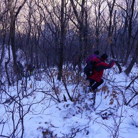 冬至撒野，林海雪原！