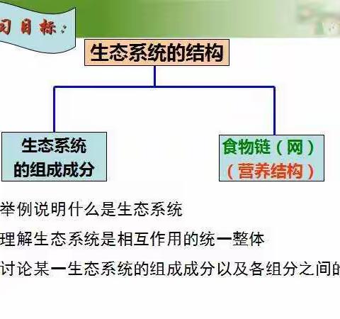 问道自然——记高二生物组刘婷の公开课《生态系统的结构》