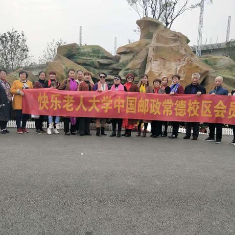 快乐老人大学生“花海度重阳”