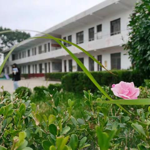 加油吧！少年！——快乐的冬季运动会