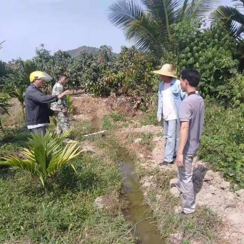 北岭村委会调解成功一宗土地纠纷