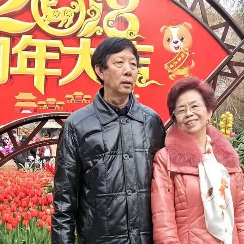 狗年大吉，万事吉祥安康，夫妻狂文殊院，金沙太阳节，锦里，人民公园，新春夕阳红美照。