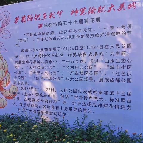 相约同学品茗赏菊