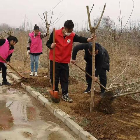 东马庄：“新栽杨柳三千里，引得春风度玉关”