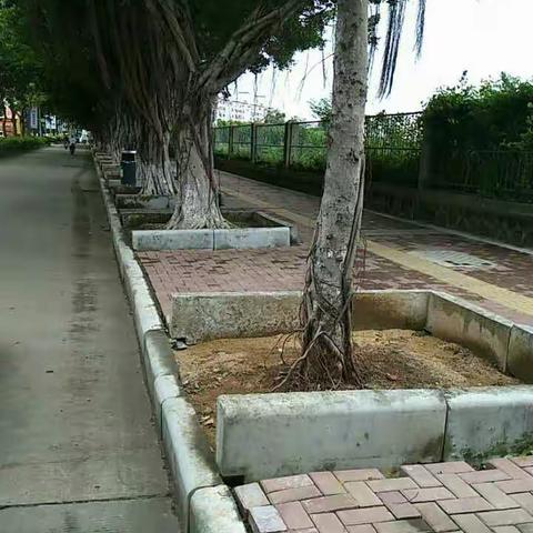 迎“创文”国检局巡查督办小组“回头”巡查