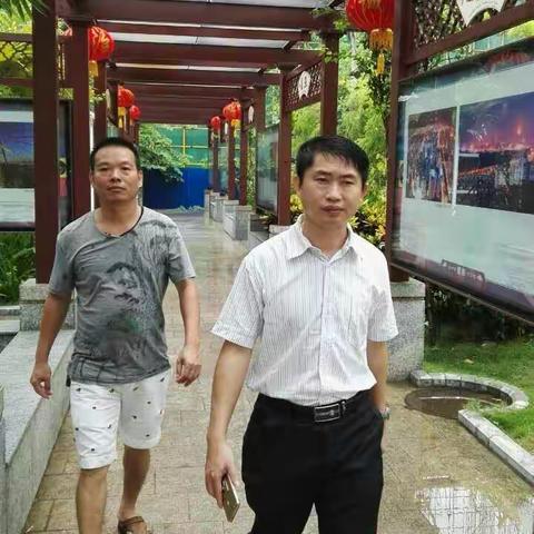 迎“创文”国检局巡查督办小组对龙华区绿化全方位巡查