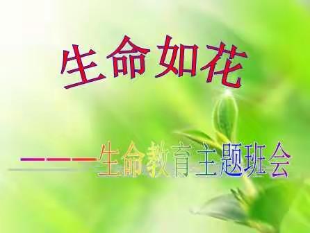 生命如花，生命至上——高一1班班会