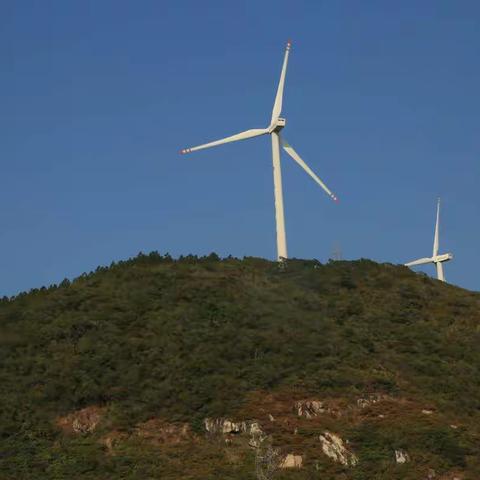 假日闲情东平行