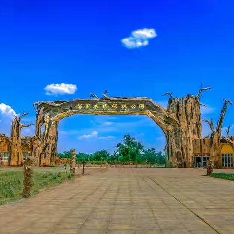 秒拍塔里木胡扬