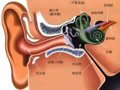 烦人的耳鸣久治不愈，有哪些问题呢？