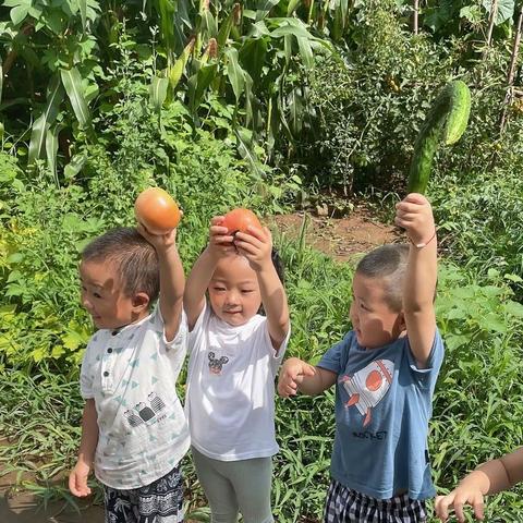 【齐鲁幼教康平幼儿园.芽芽班】